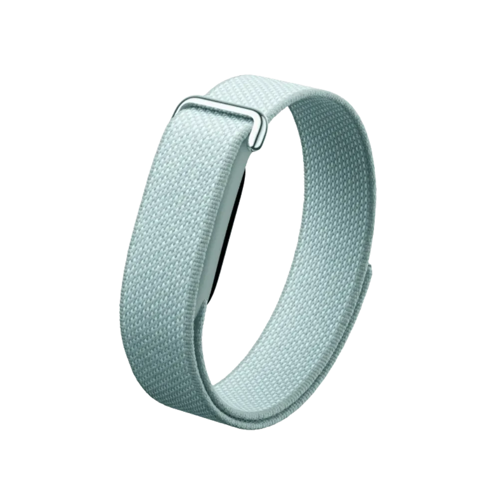 Google Fitbit Air - Image 4